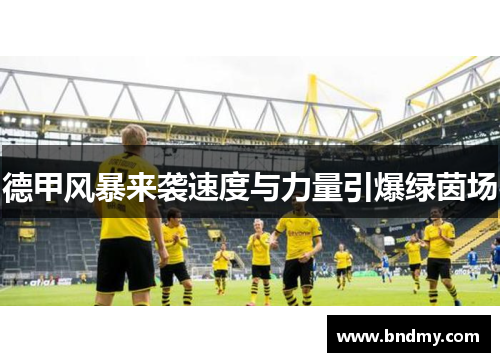 德甲风暴来袭速度与力量引爆绿茵场