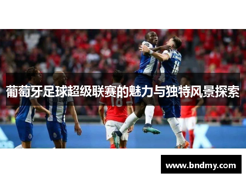 葡萄牙足球超级联赛的魅力与独特风景探索