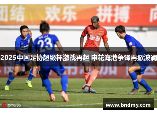 2025中国足协超级杯激战再起 申花海港争锋再掀波澜