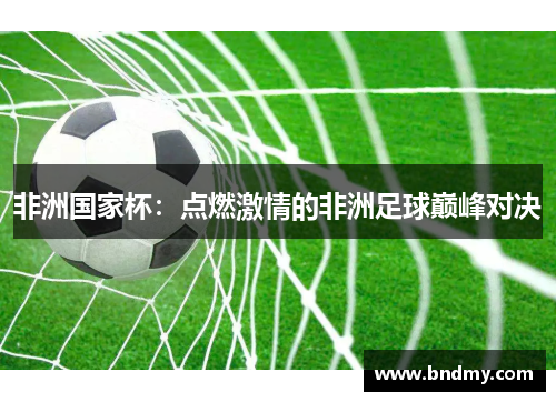 非洲国家杯：点燃激情的非洲足球巅峰对决