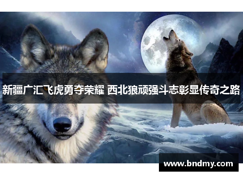 新疆广汇飞虎勇夺荣耀 西北狼顽强斗志彰显传奇之路
