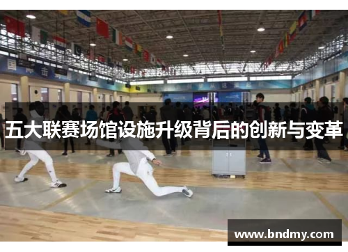 五大联赛场馆设施升级背后的创新与变革